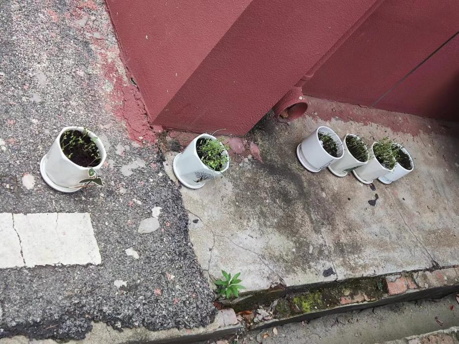 溫暖生命，治愈自我--525心理健康月