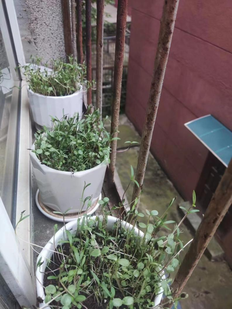 溫暖生命，治愈自我--525心理健康月