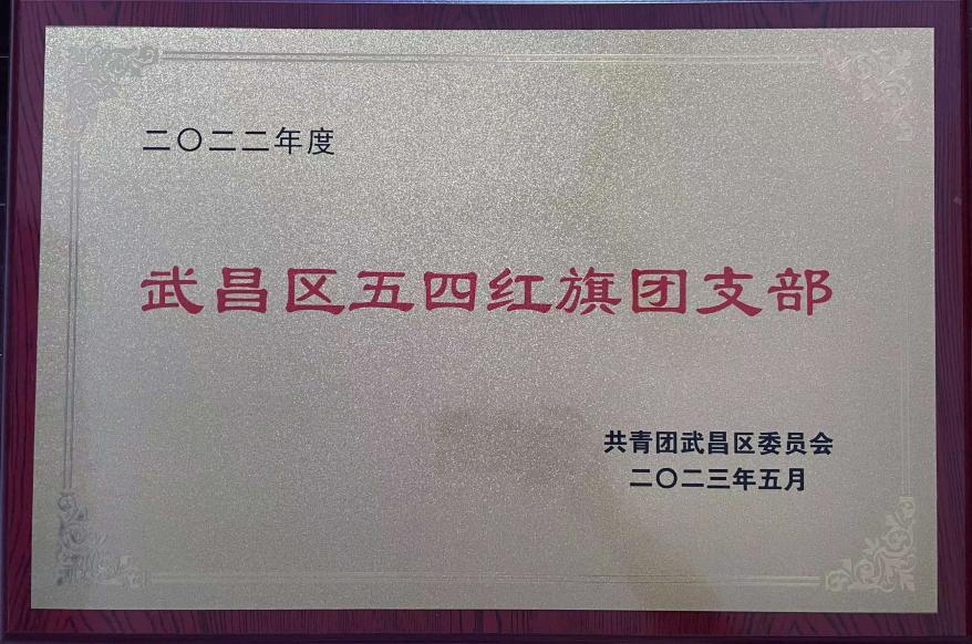 喜報！團武昌區(qū)委表彰我校四個先進集體和個人！