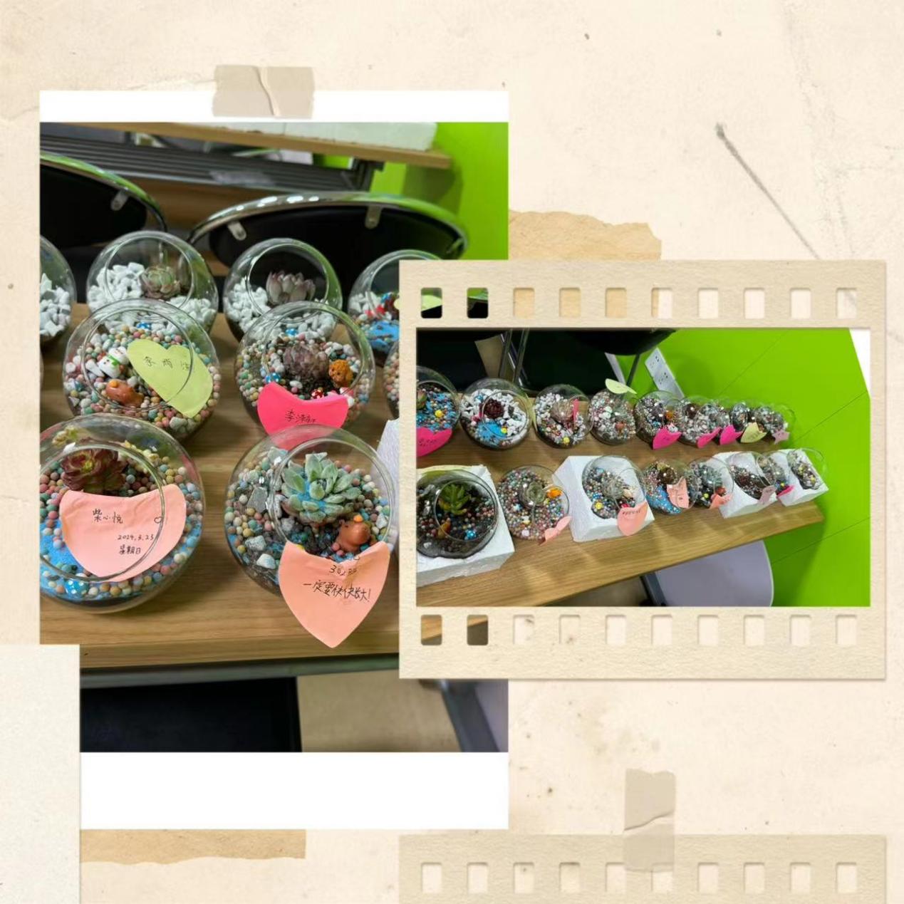 “志”美青年? ? ?春“鋒”依舊