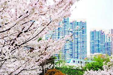 15年前今天武漢地鐵開通首條線路 至今已運(yùn)送乘客超48億乘次 15年前今天武漢地鐵開通首條線路 至今已運(yùn)送乘客超48億乘次