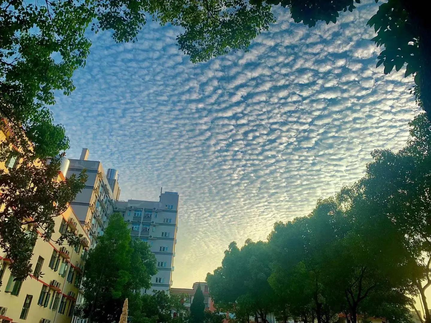 畢業(yè)進(jìn)國(guó)企，福利好，待遇高；武漢科技職業(yè)學(xué)院學(xué)生很“清高