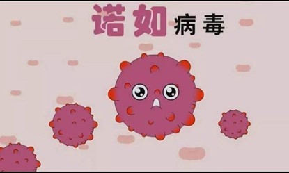 get諾如病毒相關(guān)知識(shí)