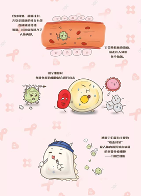 絲帶飄揚(yáng) ，用心學(xué)“艾”